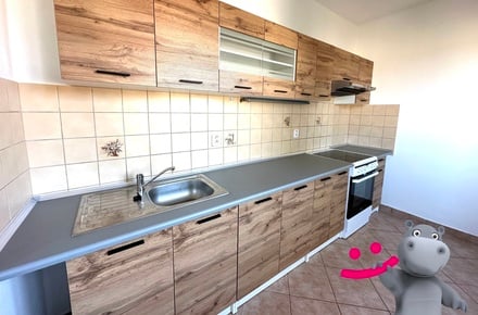 Pronájem bytu 2+1 55 m², Kralupy nad Vltavou - Lobeček