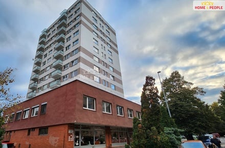 Pronájem bytu 1+1 40 m², Praha 10