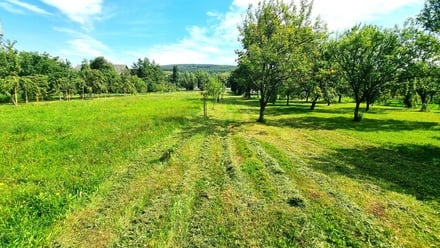 Prodej stavebního pozemku 1 139 m², Velká nad Veličkou