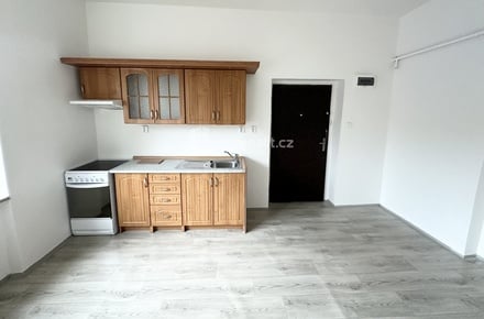 Pronájem bytu 1+1 53 m², Bystřany