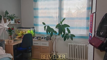 Pronájem bytu 1+1 35 m², Teplice