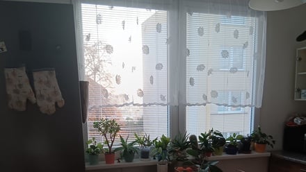 Pronájem bytu 1+1 35 m², Teplice