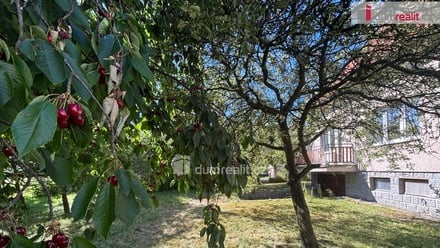 Prodej rodinného domu 200 m², Dolní Kralovice