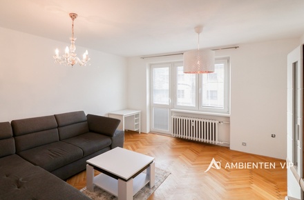 Pronájem bytu 2+1 57 m², Brno - Černá Pole