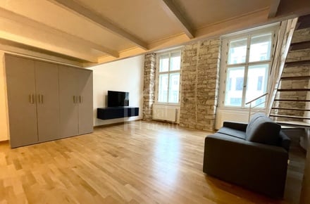 Pronájem bytu 1+kk 97 m², Praha - Karlín
