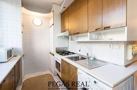 Pronájem bytu 4+1 92 m², Brno - Lesná