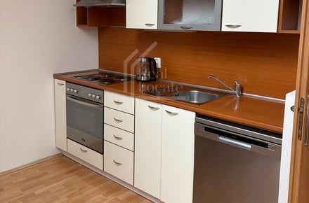 Pronájem bytu 2+kk 60 m², Praha - Vinohrady