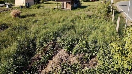 Prodej zahrady 431 m², Borohrádek