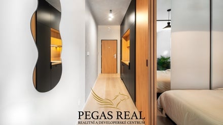 Prodej bytu 1+kk 52 m², Brno - Trnitá