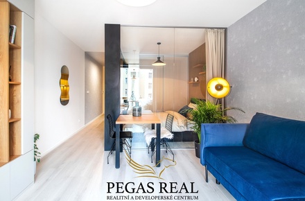 Prodej bytu 1+kk 52 m², Brno - Trnitá