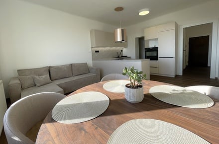 Pronájem bytu 2+kk 58 m², Brno - Černá Pole