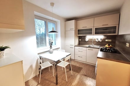 Pronájem bytu 1+1 32 m², Brno