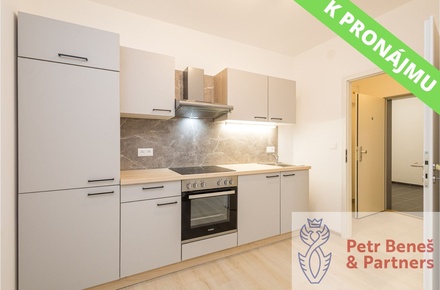 Pronájem bytu 1+kk 27 m², Rakovník II