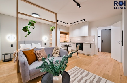 Pronájem bytu 1+kk 36 m², Brno - Zábrdovice