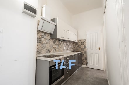 Prodej bytu 2+kk 53 m², Praha - Žižkov