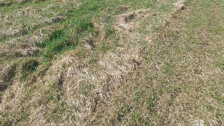 Prodej stavebního pozemku 4 050 m², Heřmanov