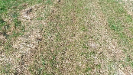 Prodej stavebního pozemku 4 050 m², Heřmanov