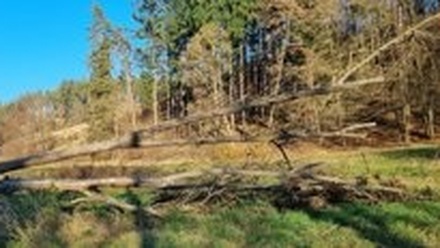 Prodej pole 20 013 m², Sudice