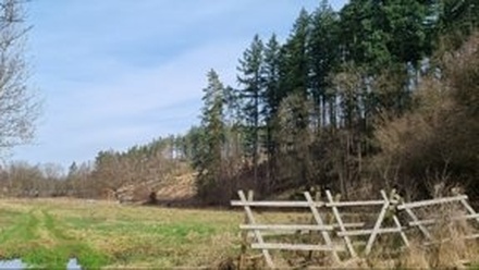 Prodej pole 20 013 m², Sudice