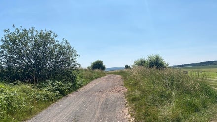 Prodej komerčního pozemku 57 493 m², Těně