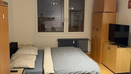 Pronájem bytu 1+1 40 m², Plzeň 1