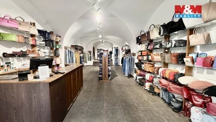 Pronájem obchodního prostoru 100 m², Louny