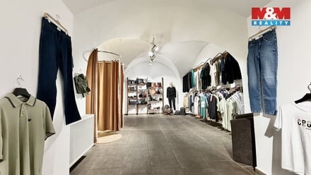 Pronájem obchodního prostoru 100 m², Louny