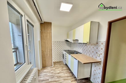 Pronájem bytu 1+1 41 m², Skvrňany