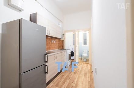 Prodej bytu 2+1 62 m², Praha - Žižkov