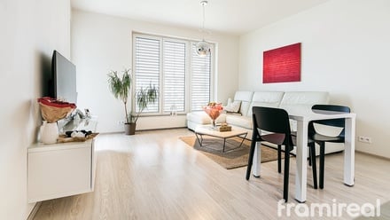 Pronájem bytu 2+kk 57 m², Brno - Sadová