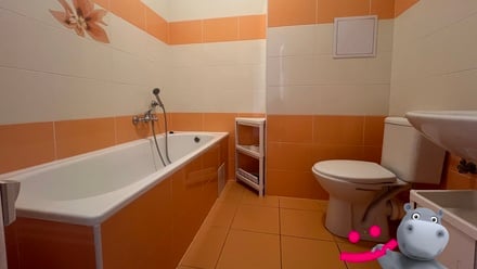 Pronájem bytu 1+kk 33 m², Otvovice