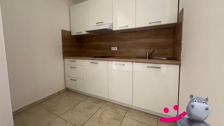 Pronájem bytu 1+kk 33 m², Otvovice