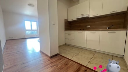 Pronájem bytu 1+kk 33 m², Otvovice