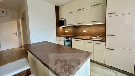 Pronájem bytu 1+kk 44 m², Zlín