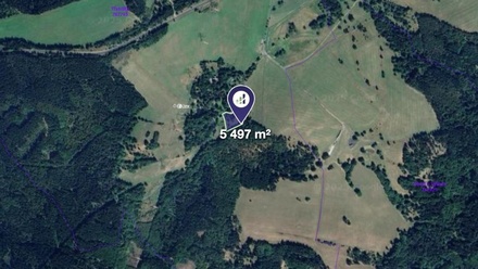 Prodej louky 5 497 m², Výsluní