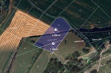 Prodej podílu 1/3 pole 2 465 m², Měrotín