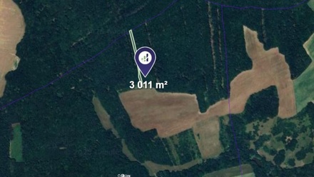 Prodej lesa 3 011 m², Hradčovice