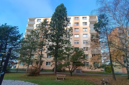 Pronájem bytu 1+1 40 m², Plzeň