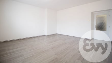 Prodej bytu 1+1 55 m², Ostrava - Moravská Ostrava
