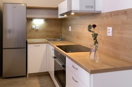 Pronájem bytu 1+kk 46 m², Brno - Židenice