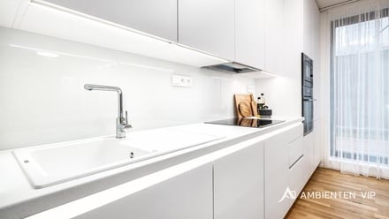 Pronájem bytu 3+kk 93 m², Brno - Pisárky