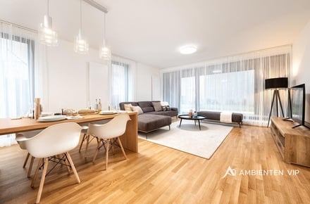 Pronájem bytu 3+kk 93 m², Brno - Pisárky