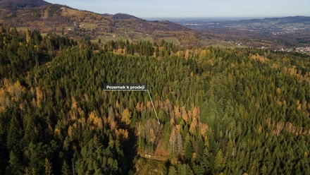 Prodej louky 4 541 m², Milíkov