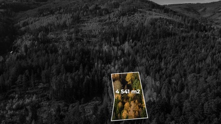 Prodej louky 4 541 m², Milíkov