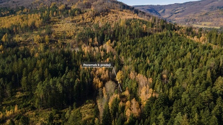 Prodej louky 4 541 m², Milíkov