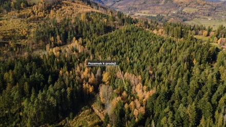 Prodej louky 4 541 m², Milíkov