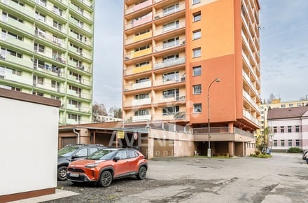 Prodej bytu 1+kk 28 m², Desná II