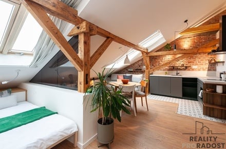 Pronájem bytu 1+kk 52 m², Praha 6