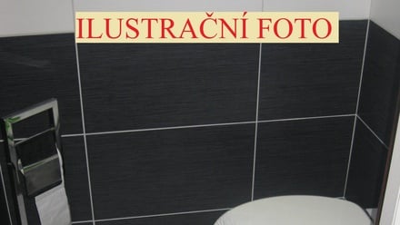 Pronájem bytu 3+1 90 m², Prostějov