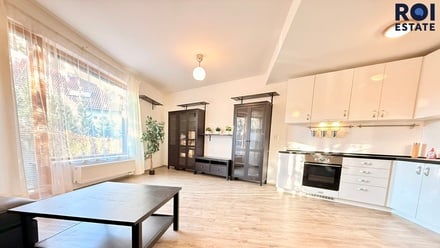 Pronájem bytu 2+kk 58 m², Brno - Komín